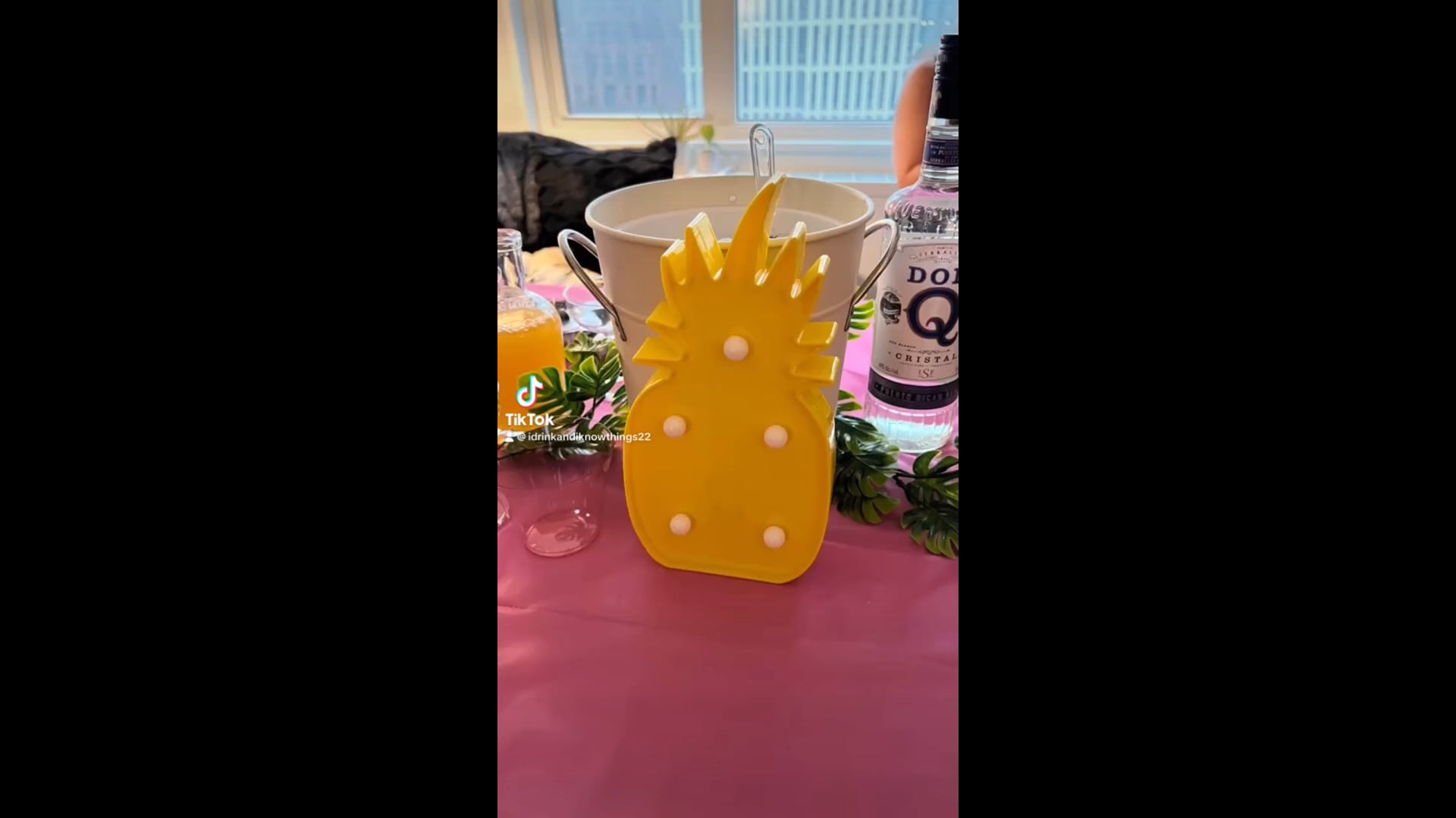 Promotional video thumbnail 1 for The Boozy Pineapple