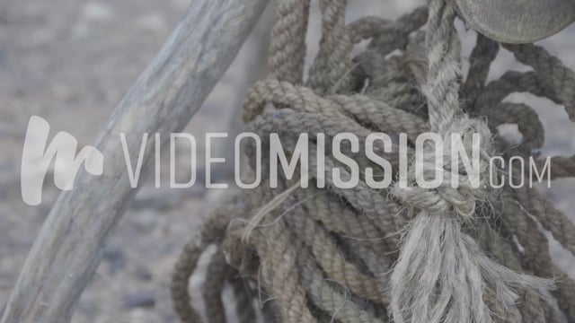 Noah – Building The Ark 034