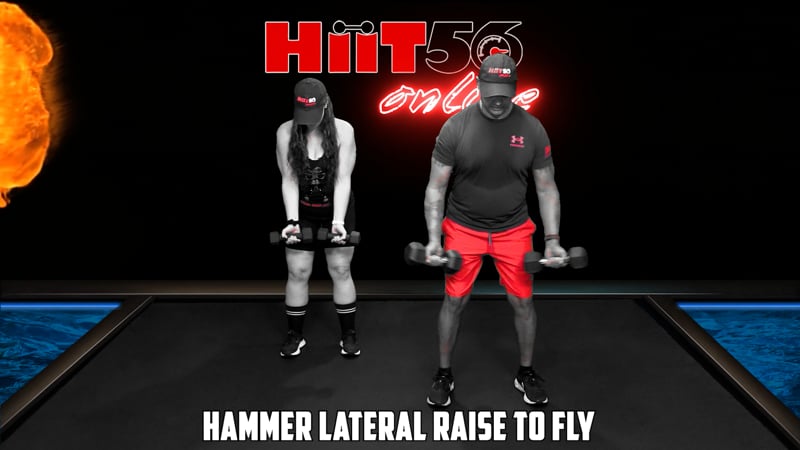 Hammer Lateral Raise to Fly