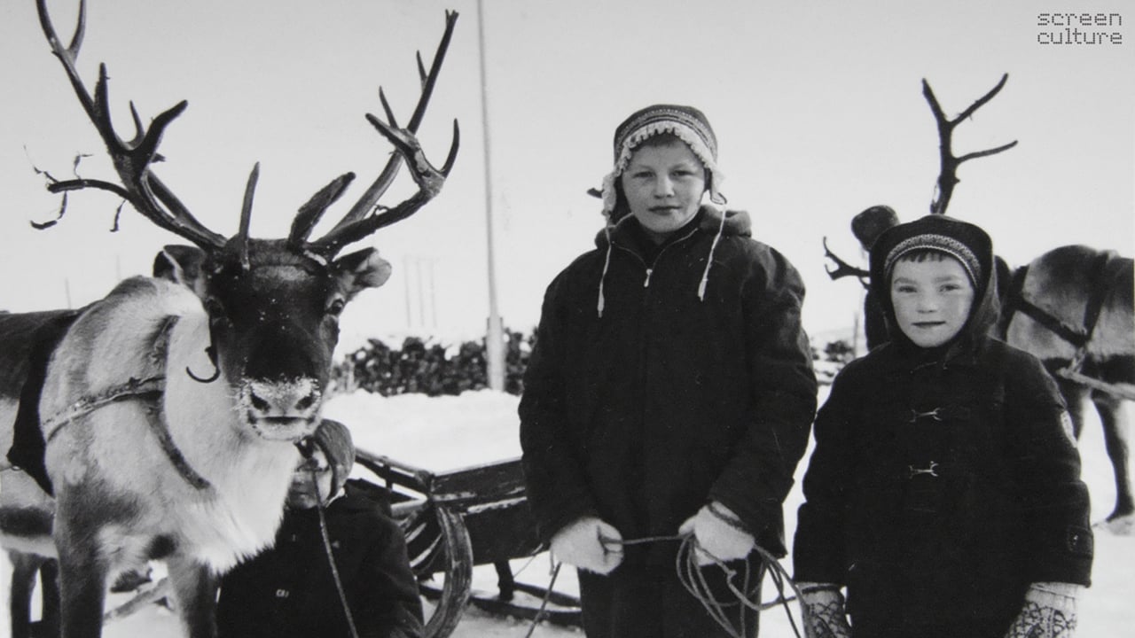Reindeer in My Saami Heart
