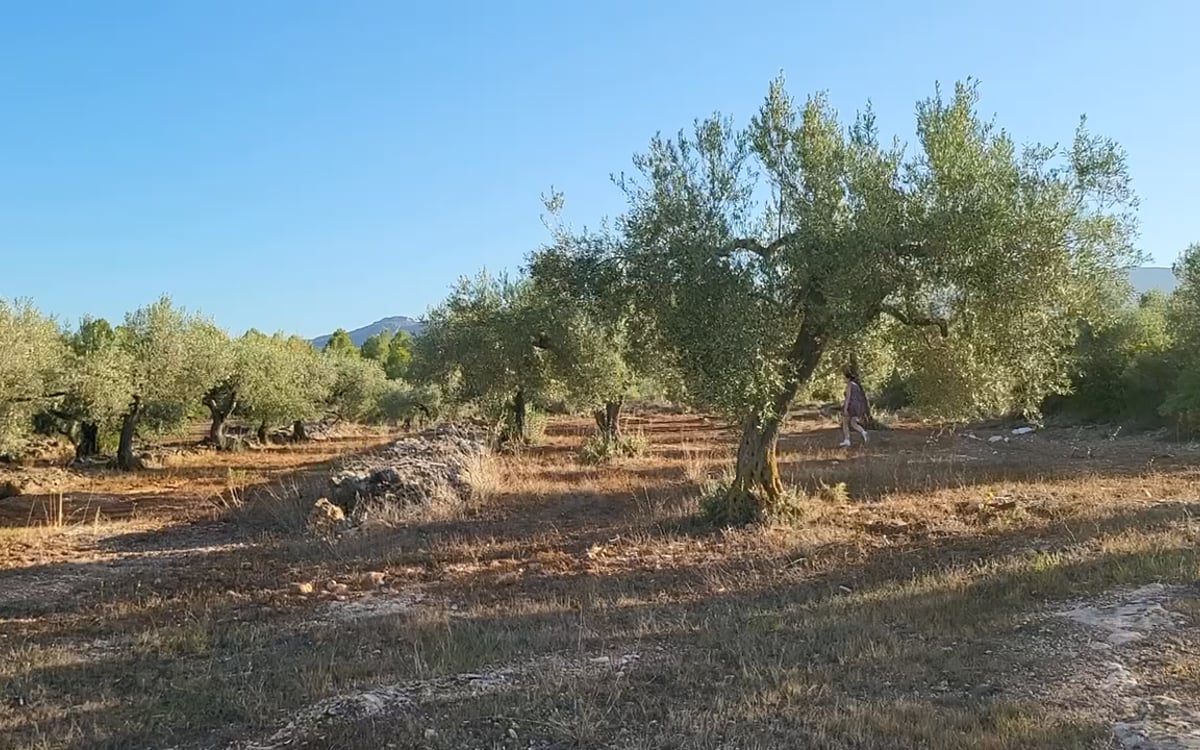 Finca en Venta en El Perelló