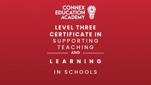 Supporting Teaching & Learning in Schools 