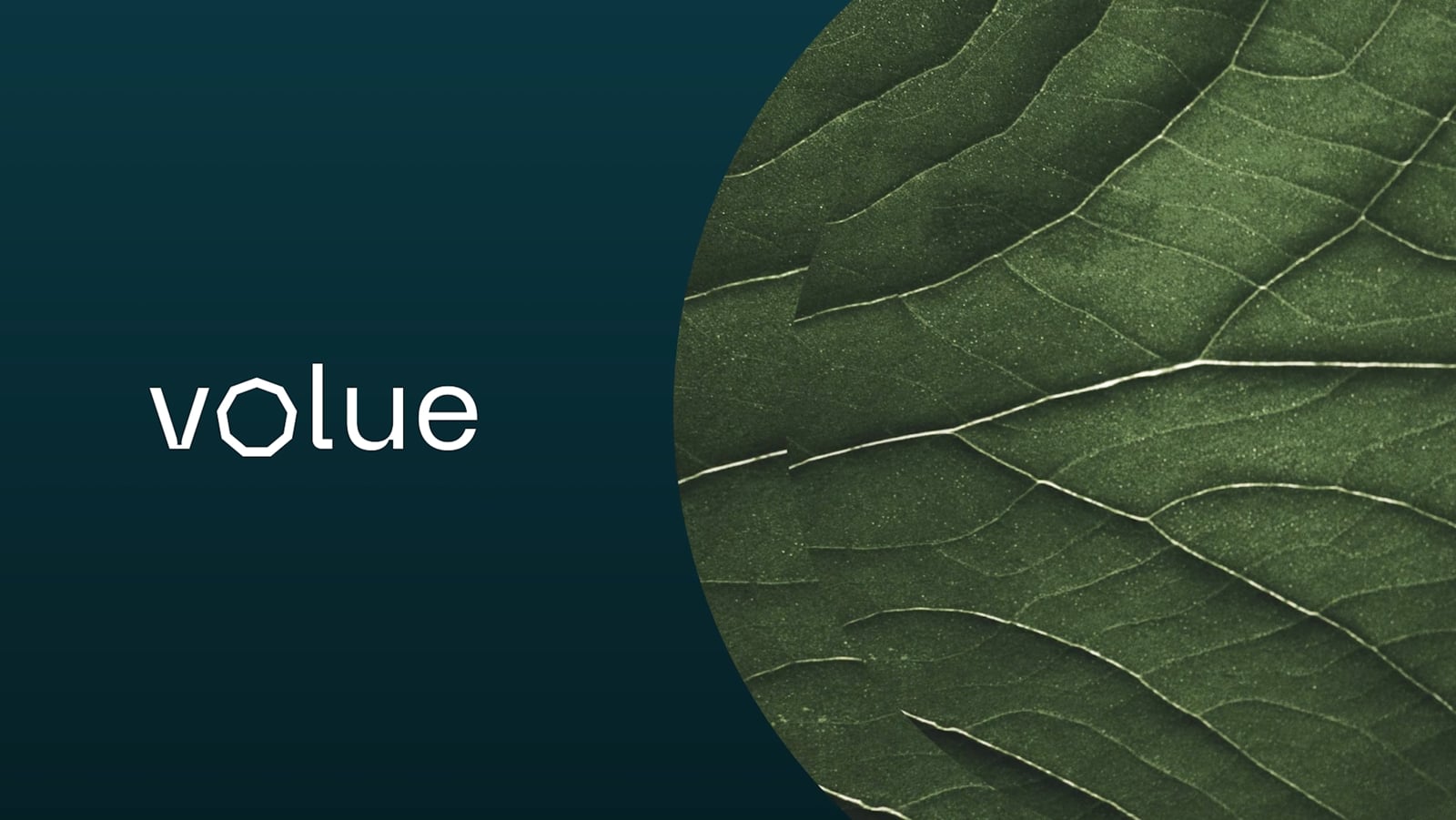 Volue Q2 2023 Financial Report and Highlights