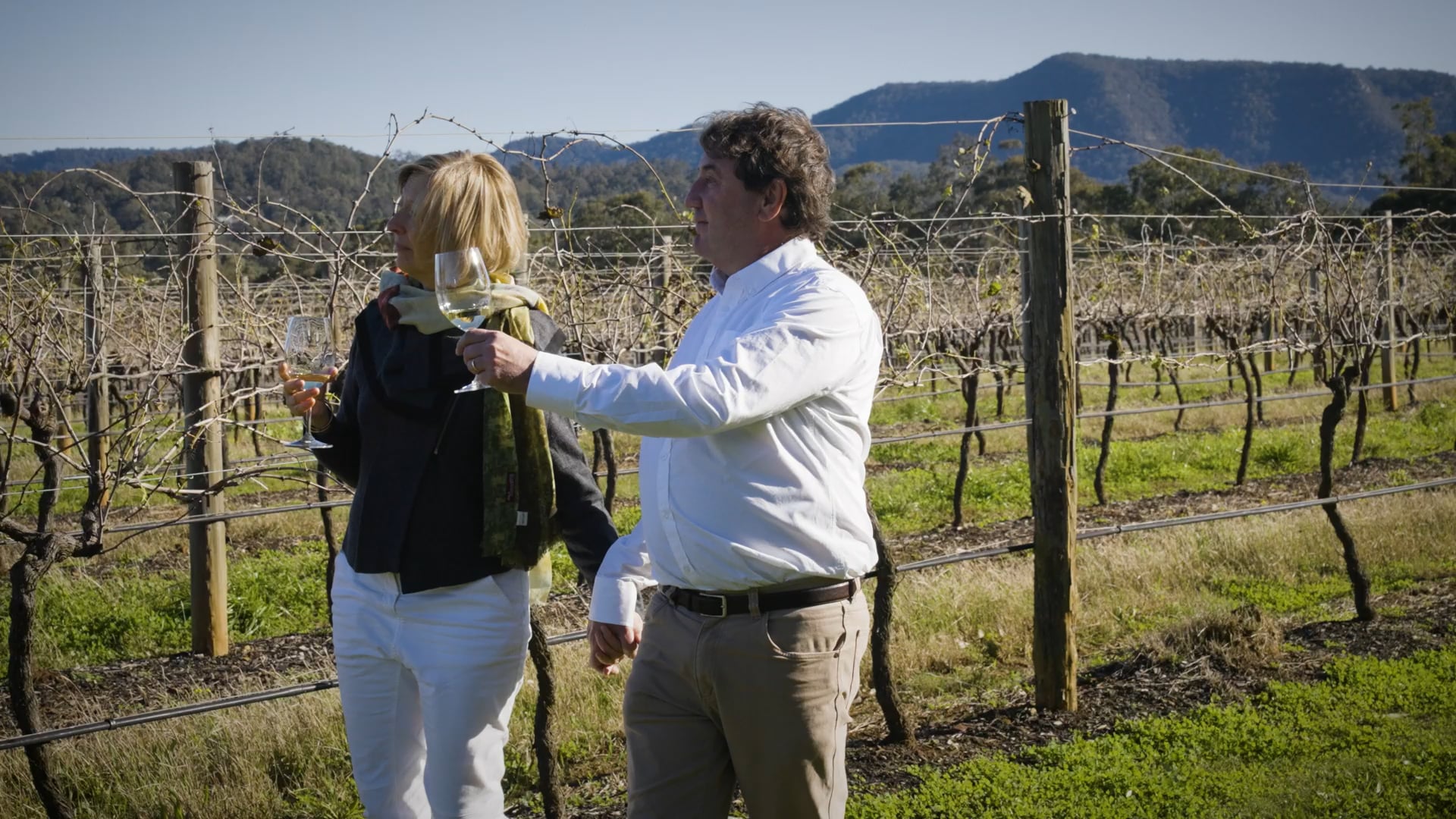 10640681 Wine House Hunter Valley NO SUPERS on Vimeo