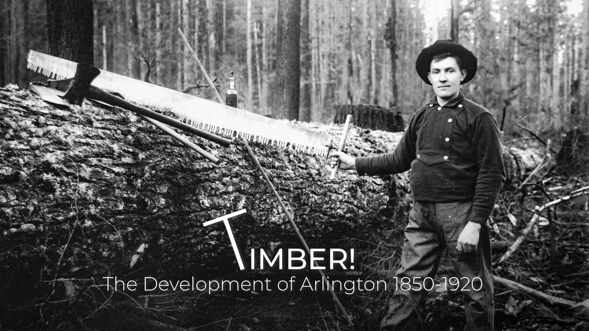 TIMBER! Documentary