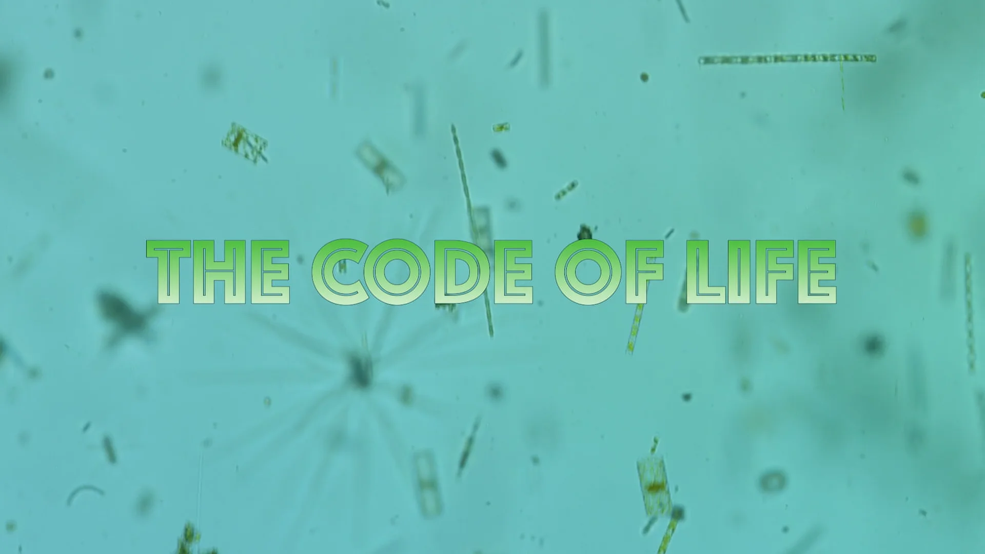 The Code of Life on Vimeo