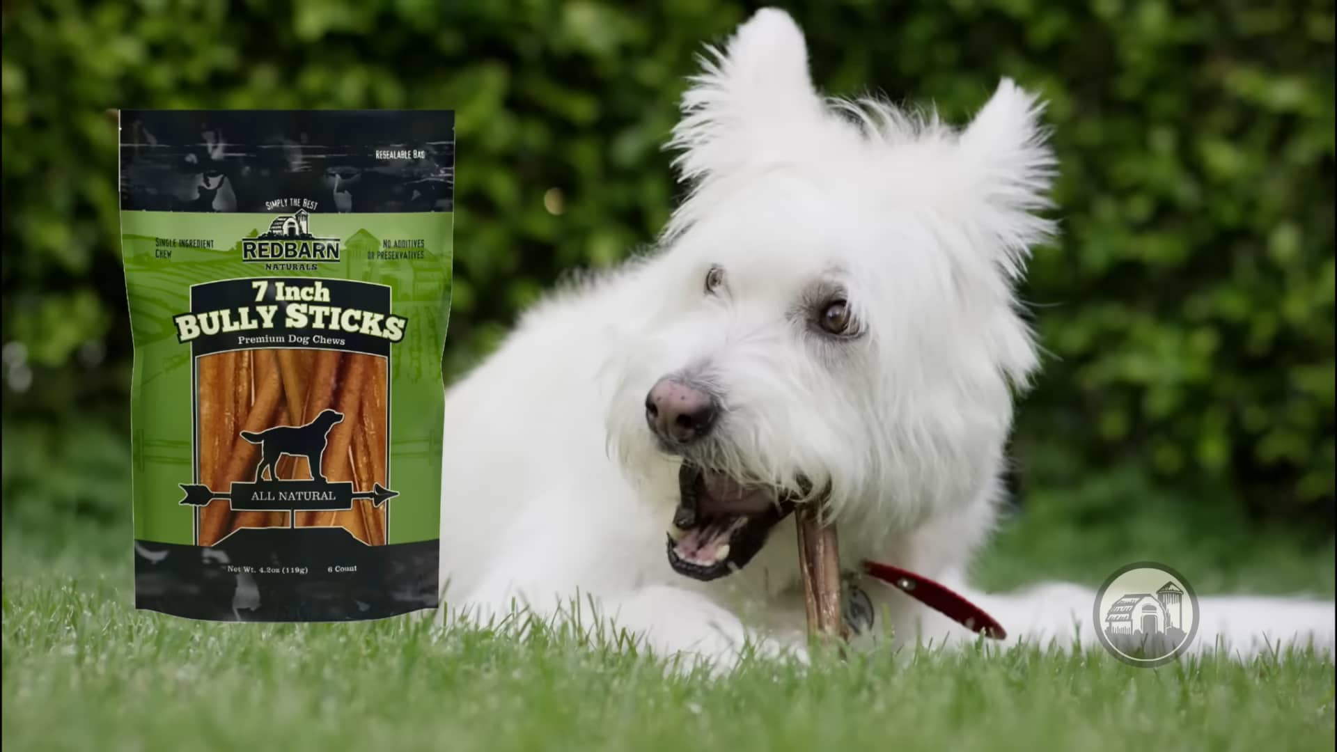 Redbarn Bully Sticks (Dog vs. Mailman) on Vimeo
