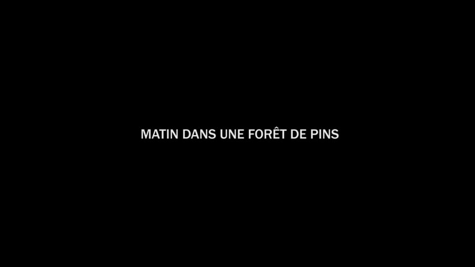 Matin Dans Une Foret de Pins (Morning in the Pine Forest)