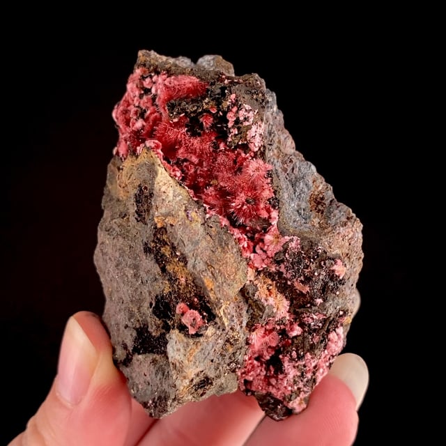 Erythrite