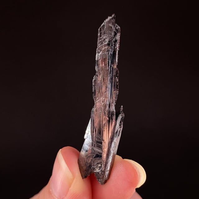 Kermesite (fine crystals)