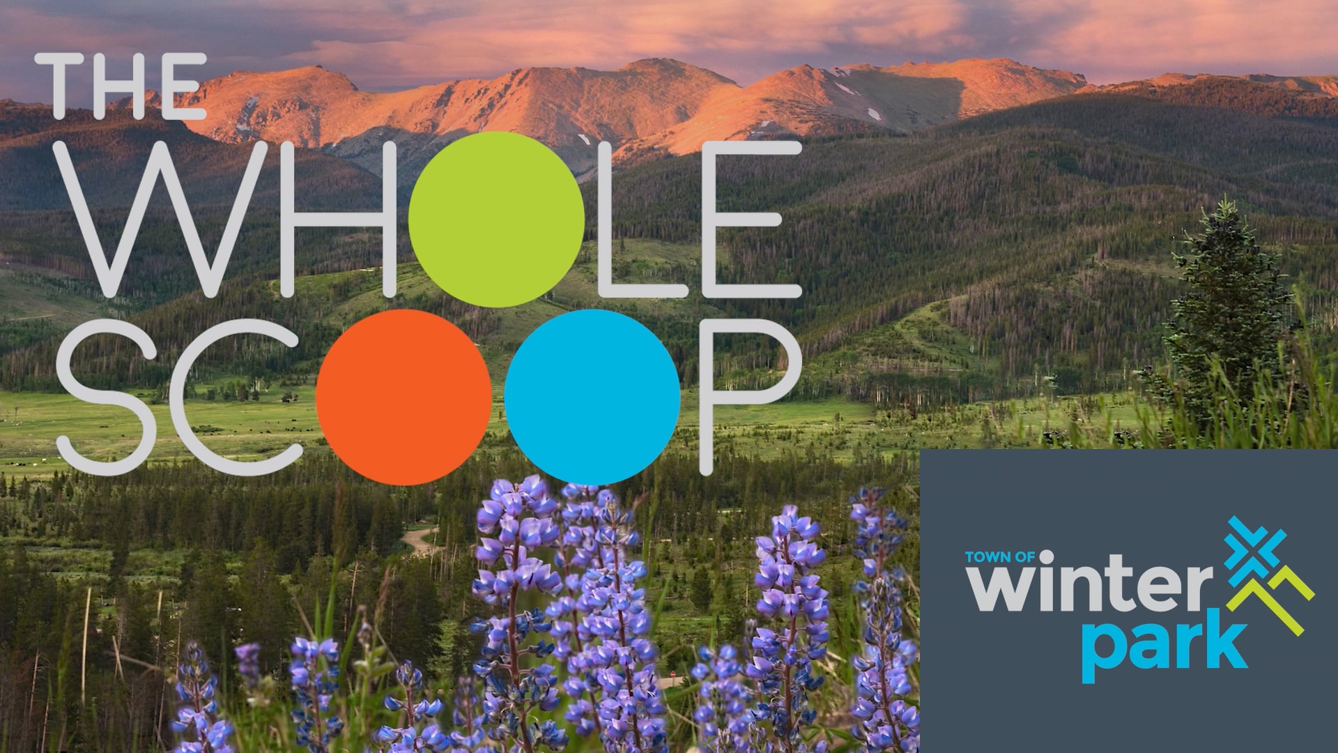 The Whole Scoop Public Comment 101 on Vimeo