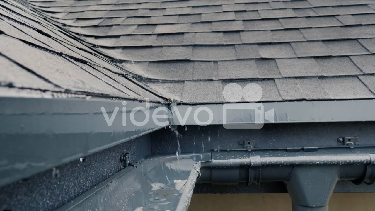 https://i.vimeocdn.com/video/1711940722-f6cd093d94cd68c22618aa9ee7b6913cc075074d59d71f8ada20fe7991f1f061-d