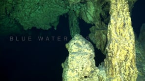 1350_Diving in Cenote Carwash, YUcatan Mexico