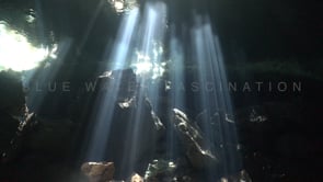 1363_sunrays shining through water surface in cenote Chikin Ha, Yucatan Mexico