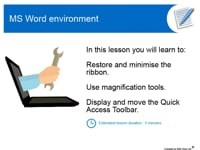 MS Word environment