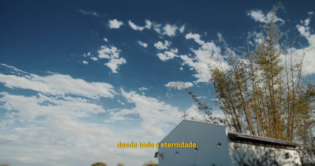 video cover 1 fornecedor: Ju Ventura Assessoria de casamentos