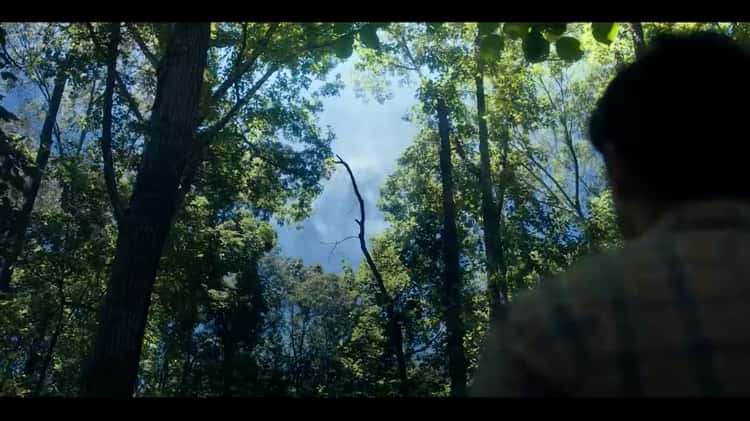 Stranger Things Season 5 - First Trailer
