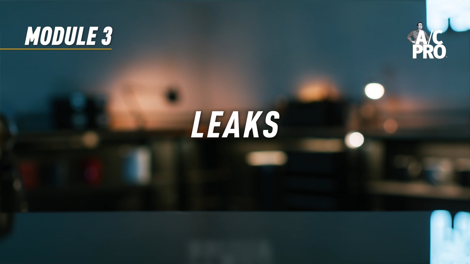 A/C PRO | LEAKS (MODULE 03)