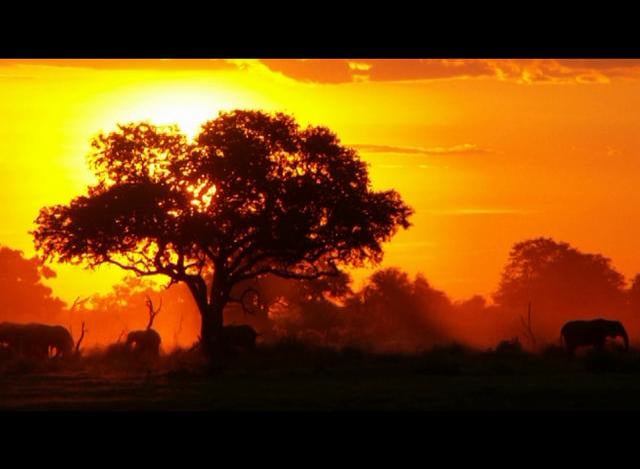 Matinga Ragatz, Michigan Teacher of The Year 2010-2011 on Vimeo