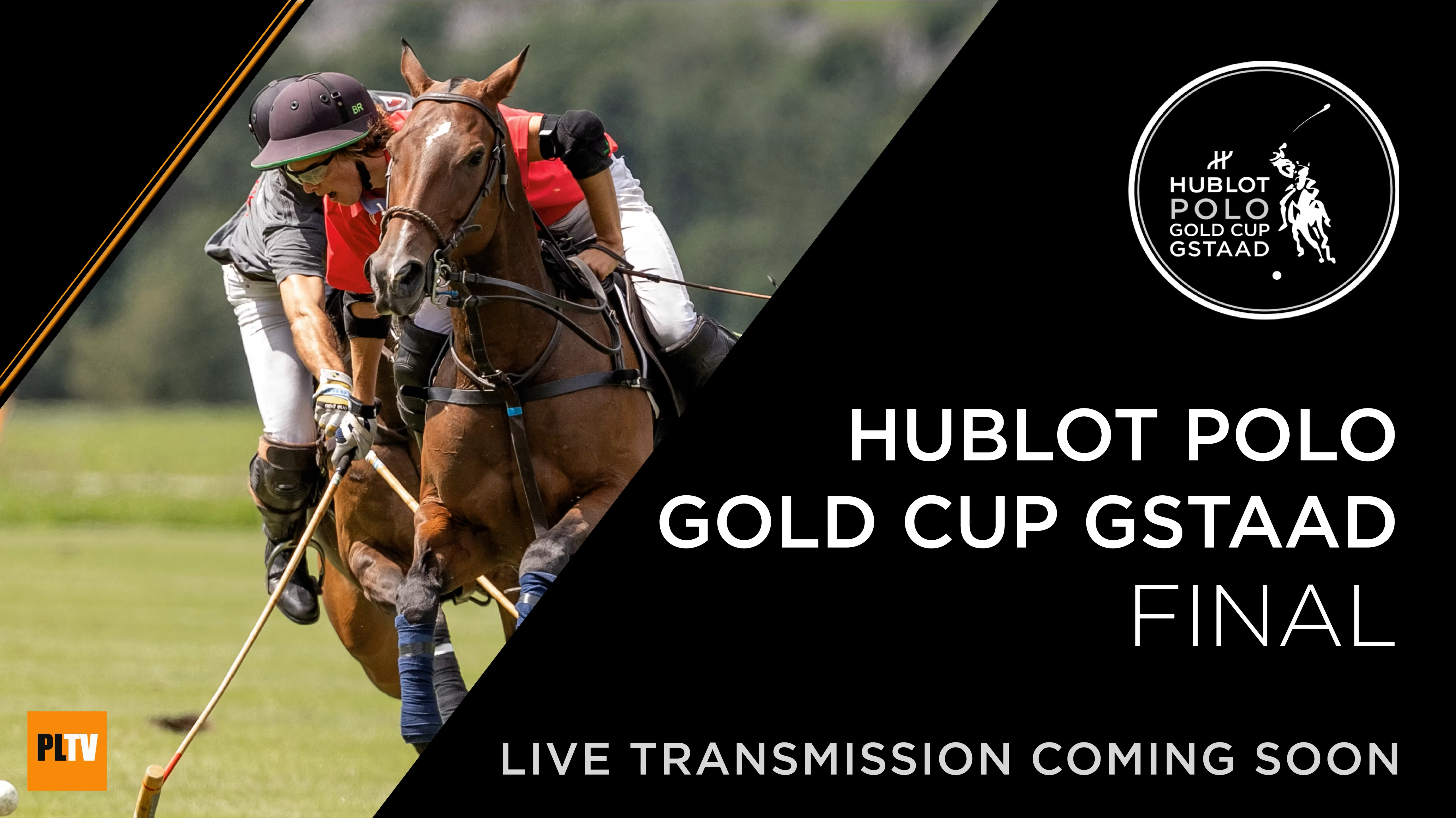 Hublot polo gold on sale cup