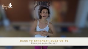 Back to strength 2023-08-16