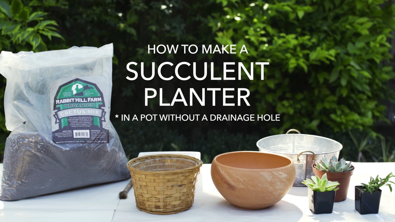 How to Make a Succulent Planter