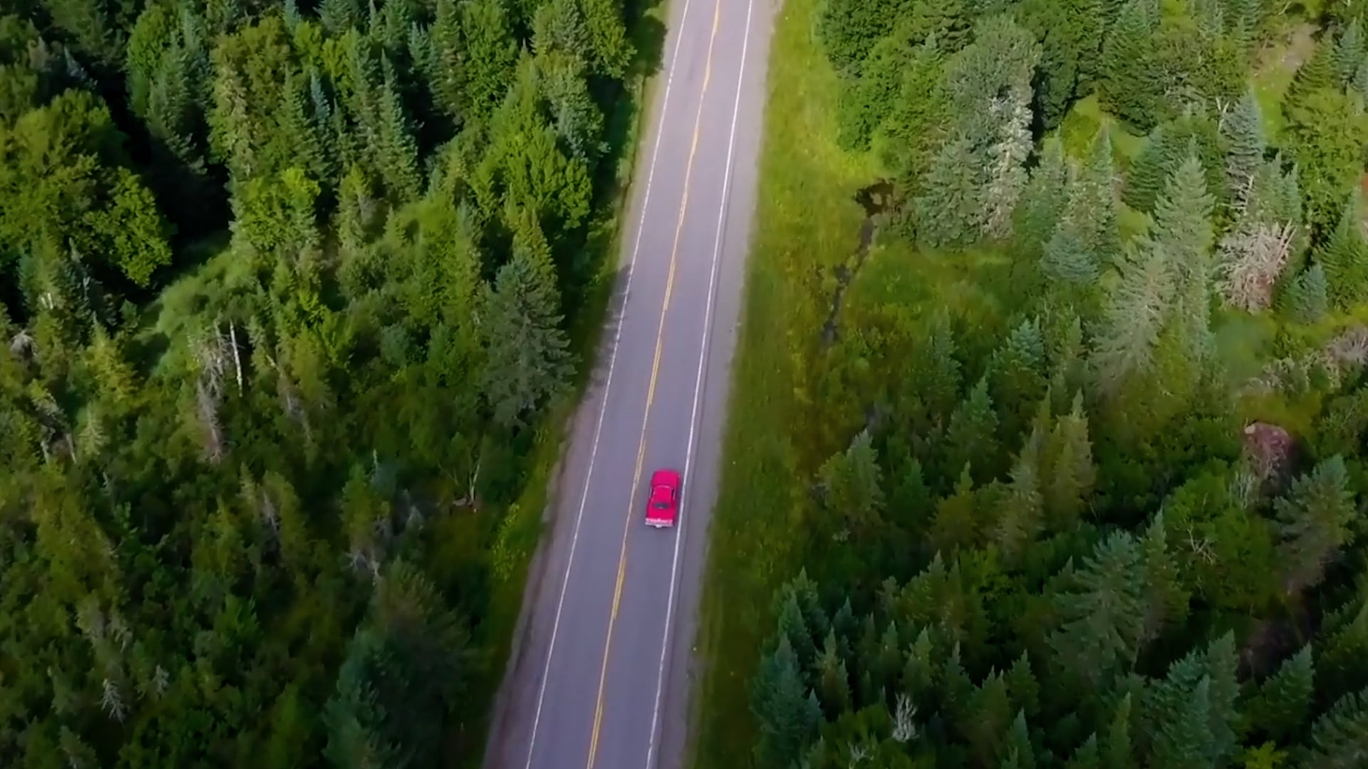 Nowhere To Run | Film Trailer