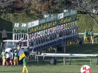G2 MBS SHO Swan Stakes 2022