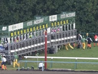 G2 Mainichi Broadcast.Swan Stakes