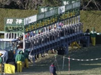 G2 Hanshin Cup