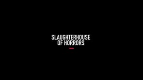 Animal Equality investigation – Sheep brutally killed in UK slaughterhouse