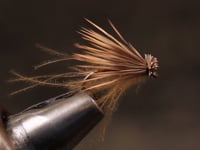 CDC & Elk Fly