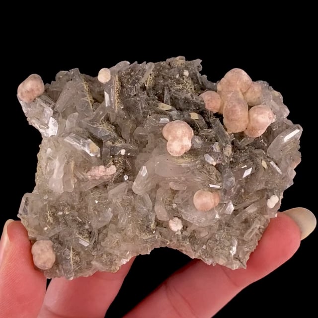 Apophyllite with Pectolite (RARE locality specimen)