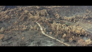 Fire Flight - Aerial Fire Mapping Services