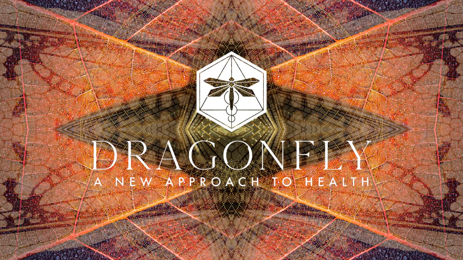 Dragonfly Health Hero Reel