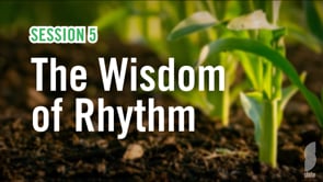 Session 5: The Wisdom Of Rhythm