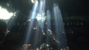 1367_Sun rays shining through water surface in Cenote Chinkin Ha, Yucatan Mexico.