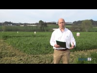 "Es un reto que tenemos a diario en Fertiprado: mejorar y seguir siendo punteros"