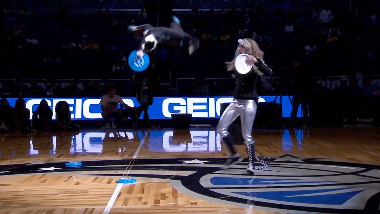 Mutts Gone Nuts Halftime Show on Vimeo