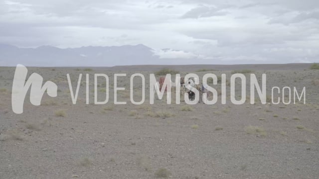 Abraham – Abraham And Isaac – Journey To Moriah 004