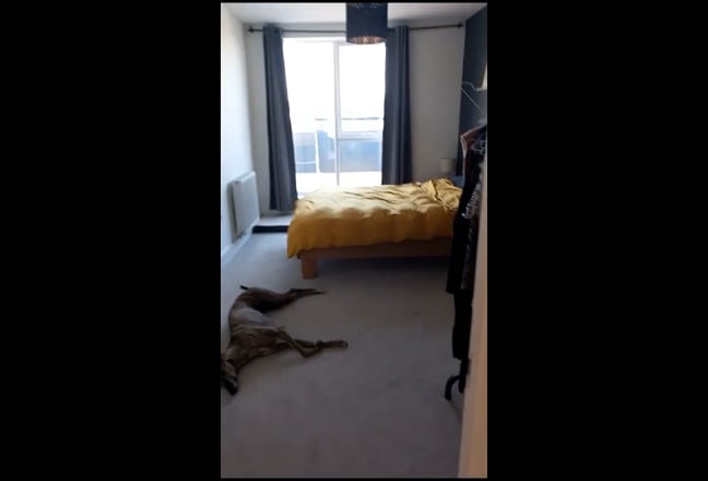 Large double room in Woolwich - Bills included Main Photo