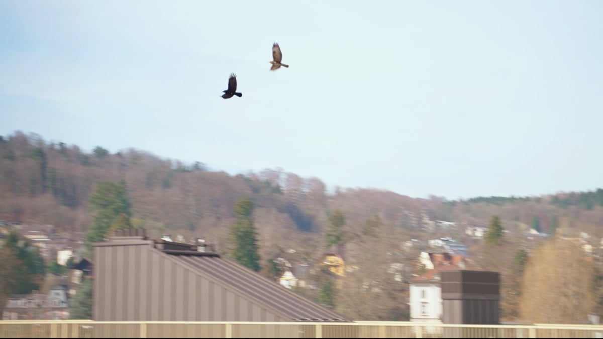 Umsetzungsprozess: Voraussetzungen, Rahmenbedingungen
