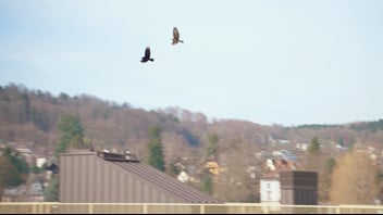 Umsetzungsprozess: Voraussetzungen, Rahmenbedingungen