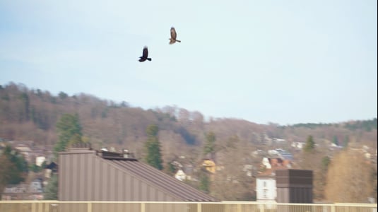 Umsetzungsprozess: Voraussetzungen, Rahmenbedingungen