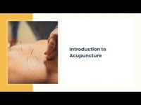 Introduction to Acupuncture 