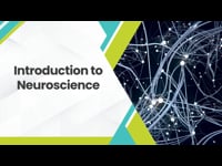 Introduction to Neuroscience 