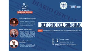 Derecho del Consumo / Francisca Barrientos, Ramón García, Juan Rubilar / Derecho Civil, Juzgados de Policía Local