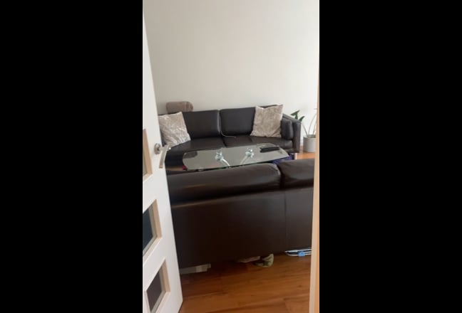 Video 1: