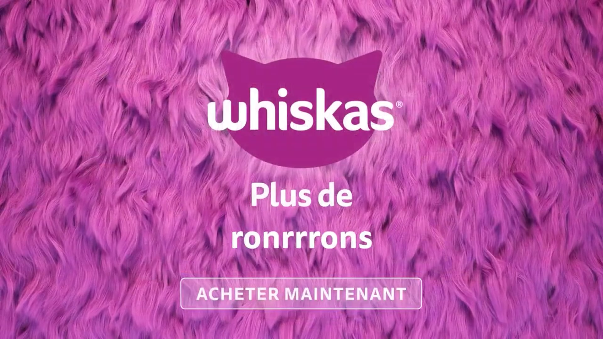 Vidéo Whiskas 