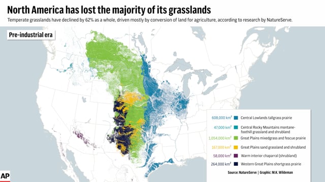 Temperate Grassland Map 2022 1714674622 D 640